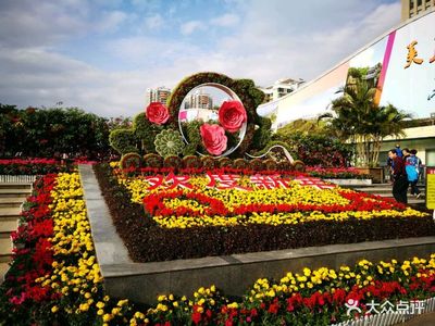 深圳國(guó)際園林花卉博覽園 都市中的花卉盛景