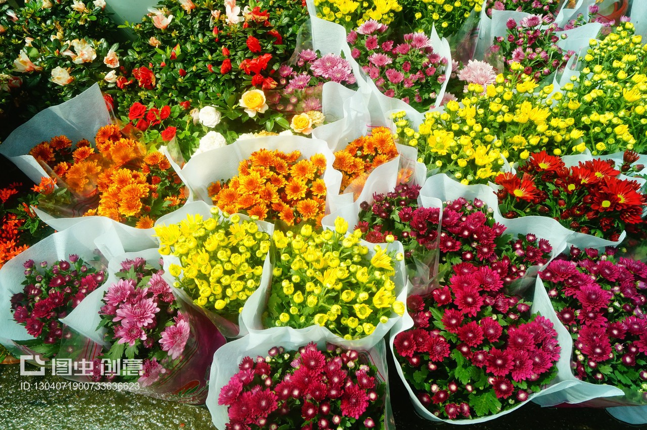 深圳花卉市場迎雙節，備足花卉植物盆景慶團圓