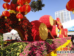 八面來風 深圳園博園——國家重點公園中的花卉藝術(shù)殿堂