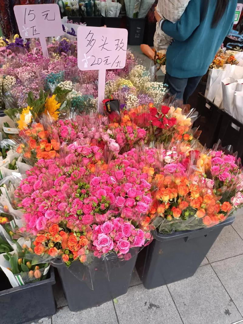 深圳荷蘭花卉小鎮(zhèn) 花的世界，花的海洋，群芳競艷百花齊放