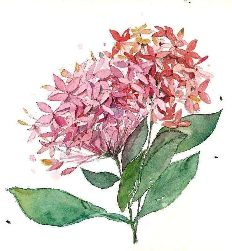 走！出門打卡深圳這“花花世界”