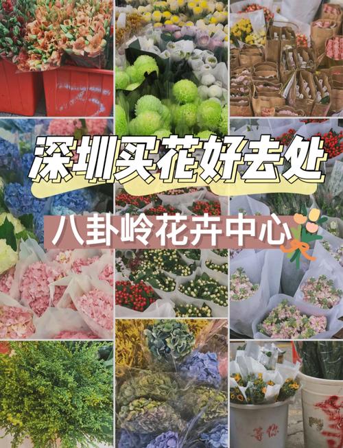 深圳買花攻略 從大型市場(chǎng)到社區(qū)花店，尋香覓色全指南