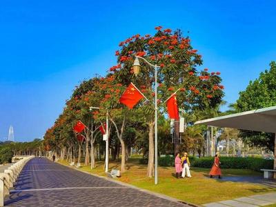 深圳四月花歷 繁花盛宴，赴一場(chǎng)嶺南春日之約